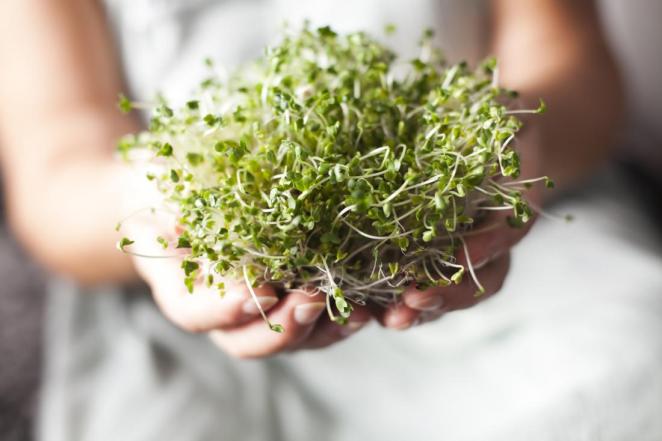 a-woman-holding-broccoli-sprouts